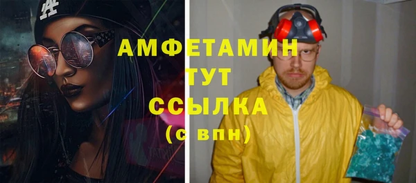 мет Алексин