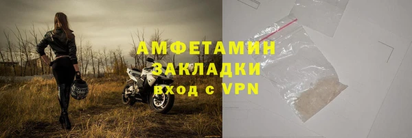 мет Алексин