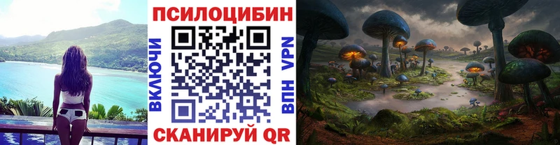 KRAKEN вход  Добрянка  Галлюциногенные грибы GOLDEN TEACHER  купить наркотик 