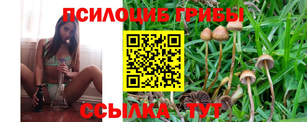 Галлюциногенные грибы мухоморы  Псилоцибиновые грибы Psilocybe  Добрянка  Вход с VPN 