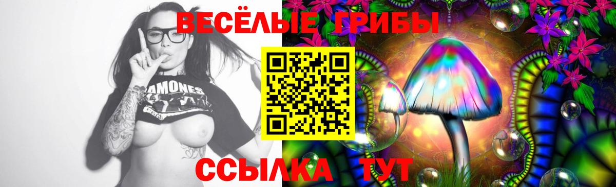 Галлюциногенные грибы мицелий Добрянка